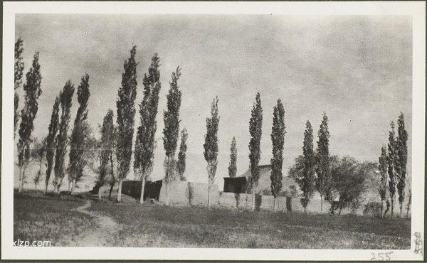 1910年乌鲁木齐老照片 莫理循西北行之乌鲁木齐篇插图60