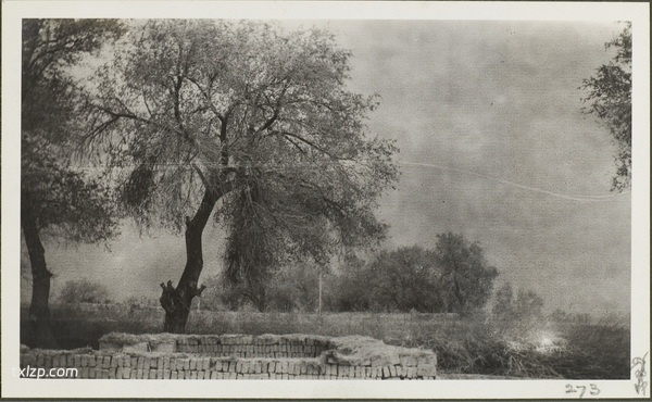 1910年乌鲁木齐老照片 莫理循西北行之乌鲁木齐篇插图61