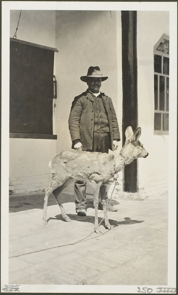 1910年乌鲁木齐老照片 莫理循西北行之乌鲁木齐篇插图24
