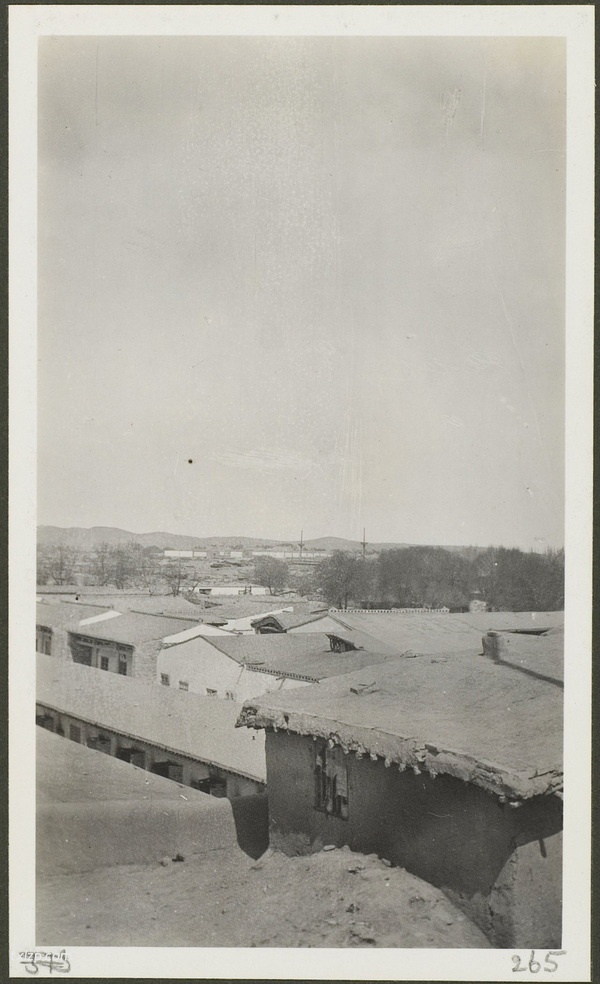 1910年乌鲁木齐老照片 莫理循西北行之乌鲁木齐篇插图48