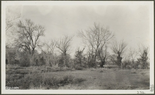 1910年乌鲁木齐老照片 莫理循西北行之乌鲁木齐篇插图9