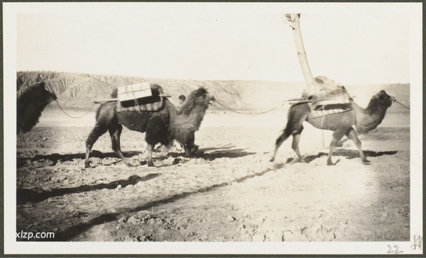 1910年莫理循西北行（1）西安咸阳篇插图28