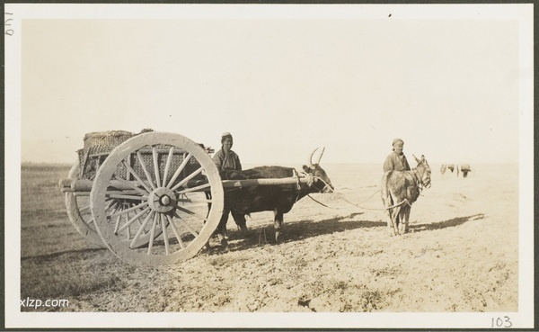 1910年莫理循西北行（4）甘州(张掖)篇插图14