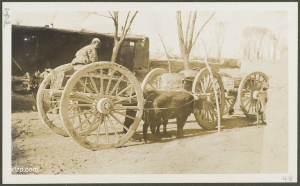 1910年莫理循西北行（4）甘州(张掖)篇插图17