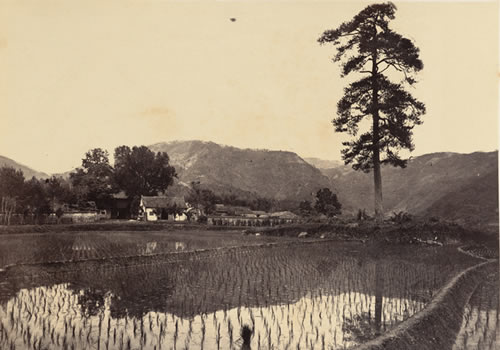 1876年宁波老照片 晚清江南水乡宁波风貌（中）缩略图