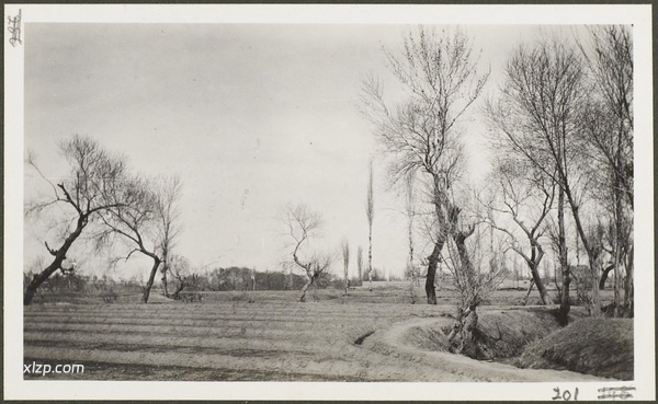 1910年莫理循西北行（9）哈密篇插图23