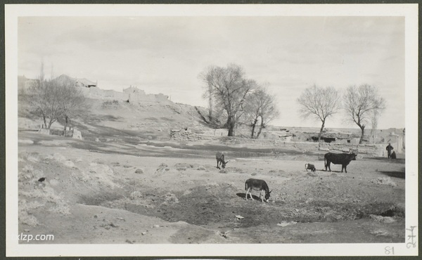 1910年莫理循西北行（9）哈密篇插图10