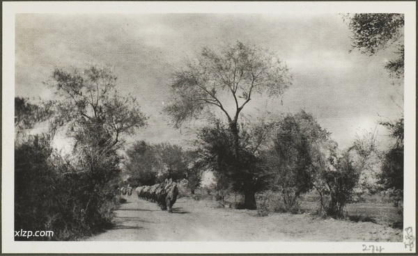 1910年莫理循西北行（11）沙湾奎屯乌苏篇插图