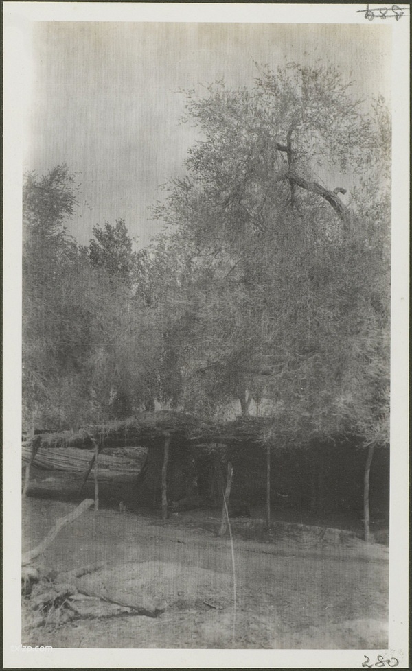 1910年莫理循西北行（11）沙湾奎屯乌苏篇插图6