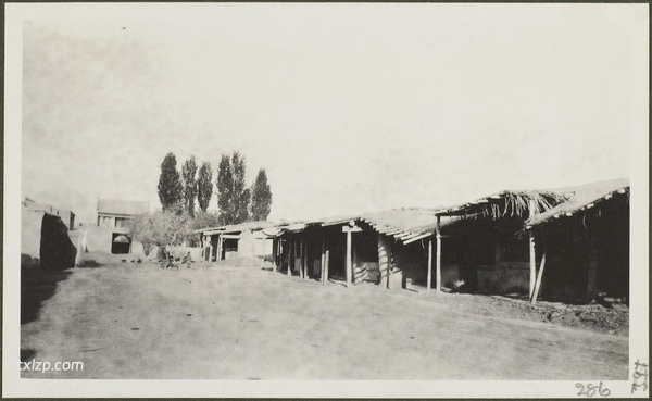 1910年莫理循西北行（11）沙湾奎屯乌苏篇插图14