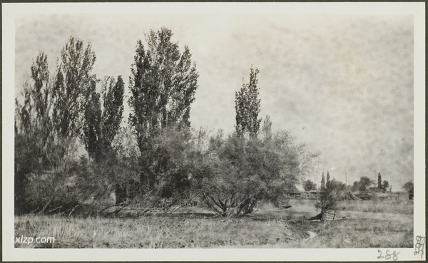 1910年莫理循西北行（11）沙湾奎屯乌苏篇插图9