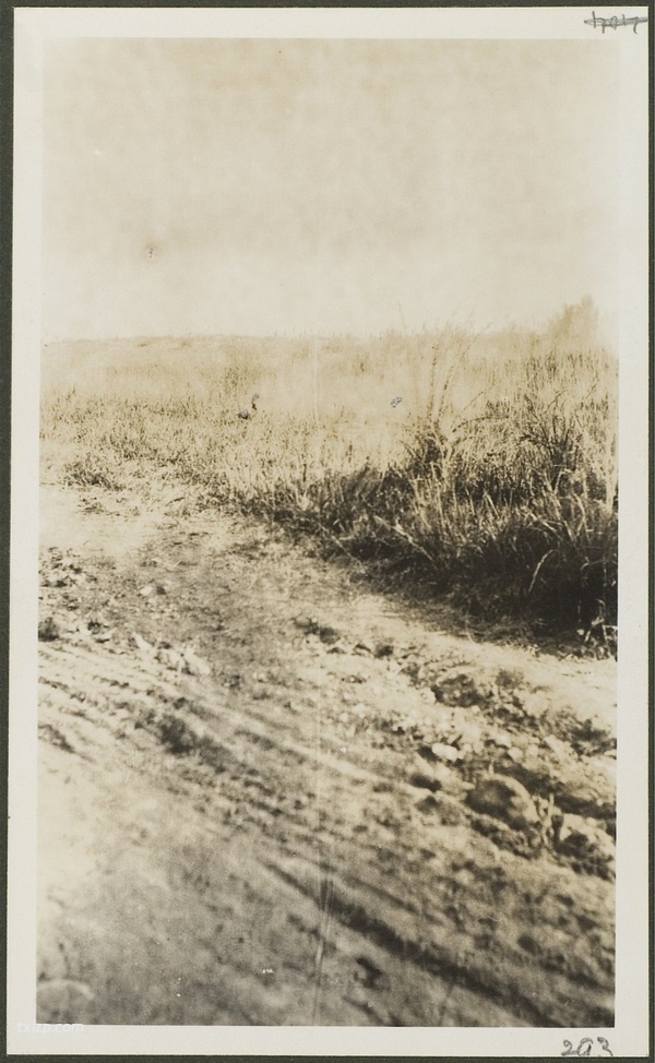 1910年莫理循西北行（11）沙湾奎屯乌苏篇插图19