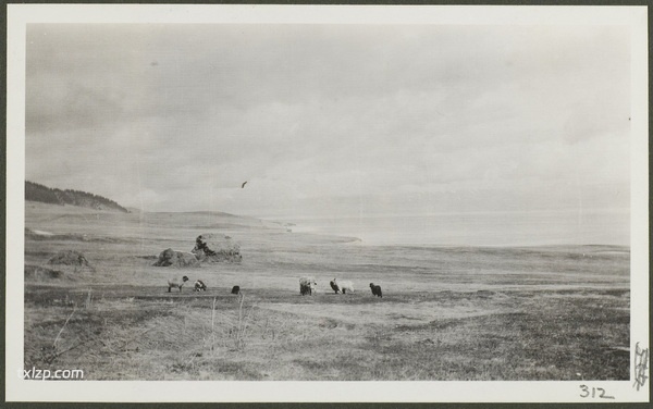 1910年莫理循西北行（12）精河赛里木湖篇插图13