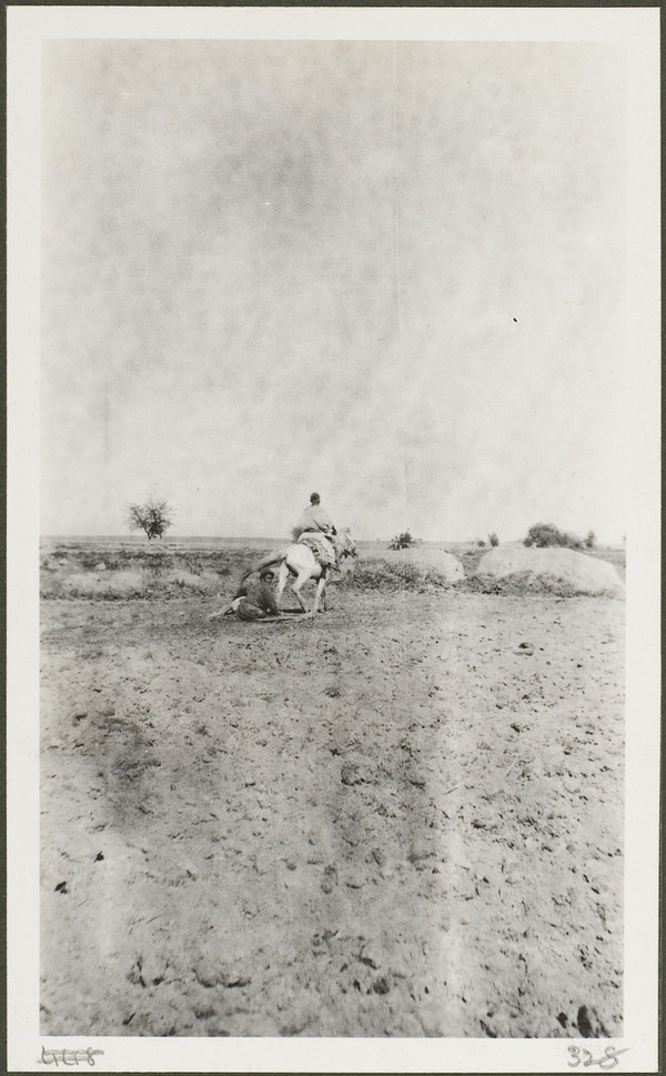 1910年莫理循西北行(14)伊宁昭苏篇(上)插图 1910年莫理循西北行(14)伊宁昭苏篇(上)插图