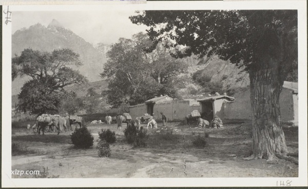 1910年莫理循西北行（14）伊宁昭苏篇（下）插图55