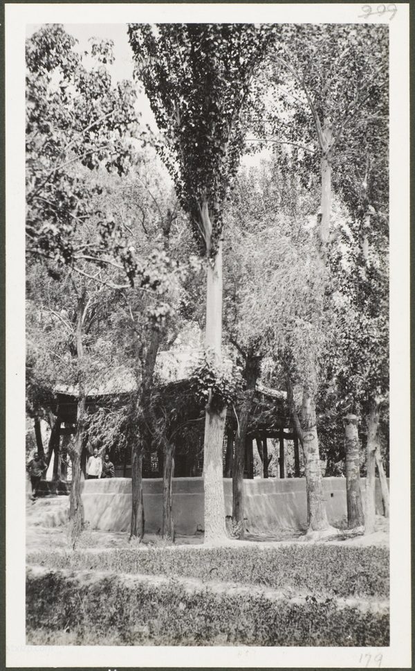 1910年莫理循西北行(16)喀什篇插图45 1910年莫理循西北行(16)喀什篇插图45
