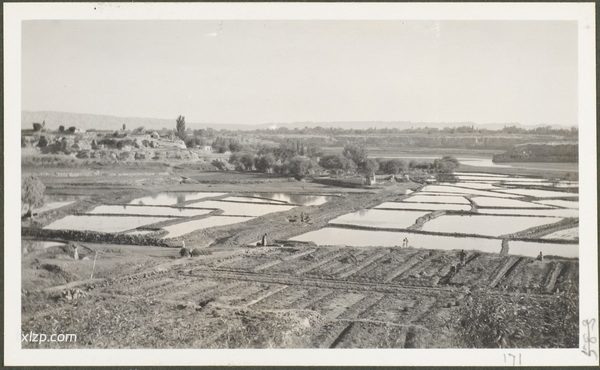 1910年莫理循西北行(16)喀什篇插图37 1910年莫理循西北行(16)喀什篇插图37