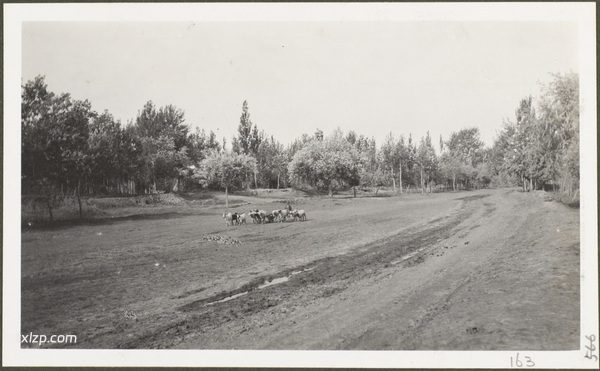 1910年莫理循西北行(16)喀什篇插图7 1910年莫理循西北行(16)喀什篇插图7