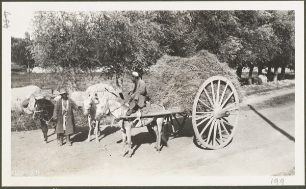 1910年莫理循西北行（17）乌恰‌奥什篇插图44