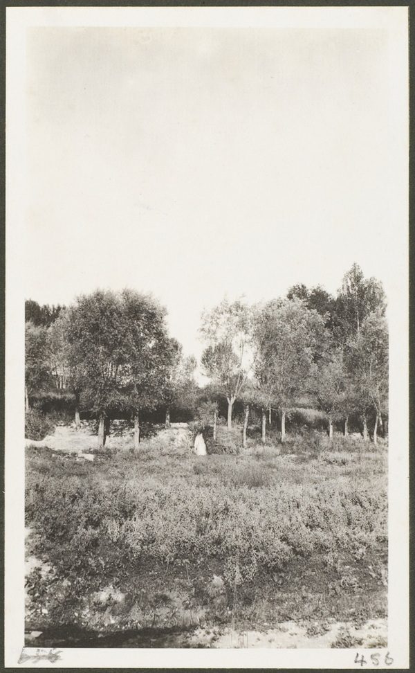 1910年莫理循西北行（17）乌恰‌奥什篇插图46