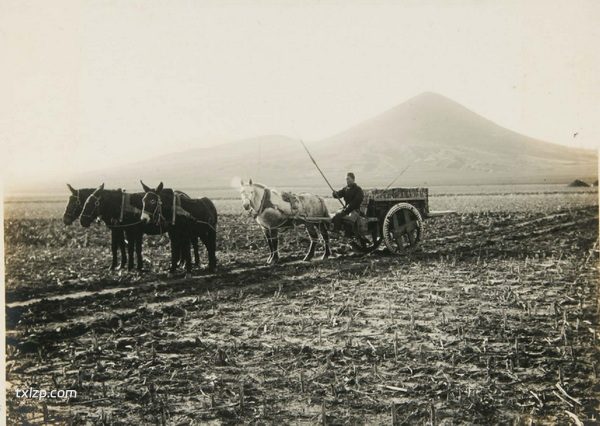 1924年营口老照片 百年前的营口城市内外风貌插图2