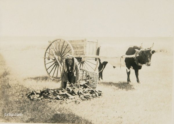 1925年内蒙古老照片 洮南克鲁伦河呼伦湖等地风貌插图5