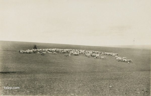 1925年内蒙古老照片 洮南克鲁伦河呼伦湖等地风貌插图9