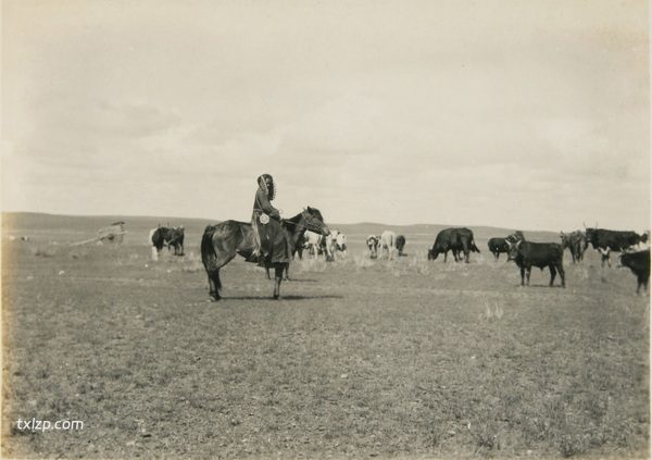 1925年内蒙古老照片 洮南克鲁伦河呼伦湖等地风貌插图14