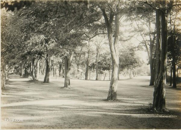 1924年大连老照片 百年前的大连城市及名所风貌插图13