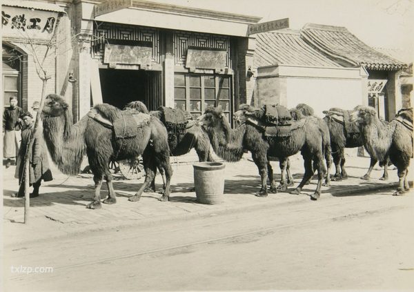 1924年北京老照片（上） 颐和园、文庙、正阳门等处风光插图10