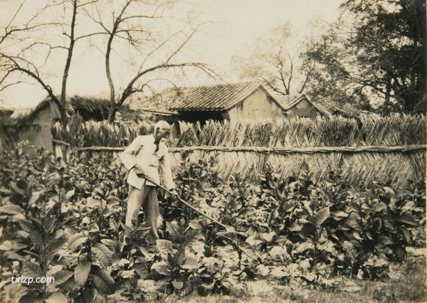 1924年北京老照片（下） 百年前北京百姓生活一览插图8