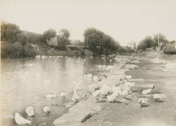 1924年北京老照片(上)百年前北京城内外名胜风光插图11 1924年北京老照片(上)百年前北京城内外名胜风光插图11