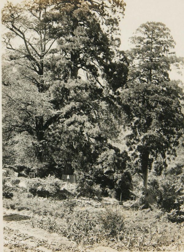 1928年庐山老照片 百年前美丽庐山名胜风貌插图10