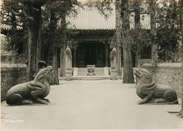 1929年曲阜老照片 百年前的曲阜三孔完整影像插图19