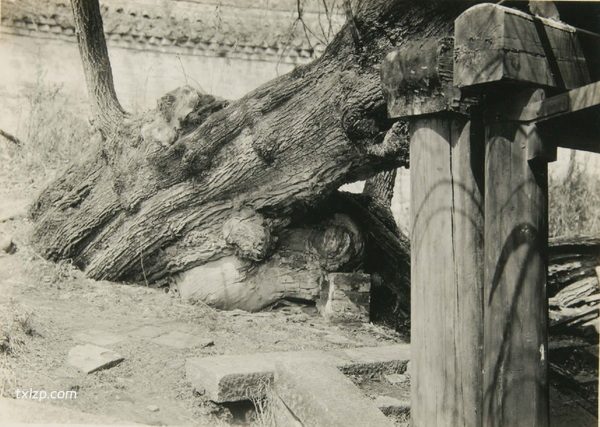 1920年抚顺老照片 新宾县清永陵的民国风貌插图10