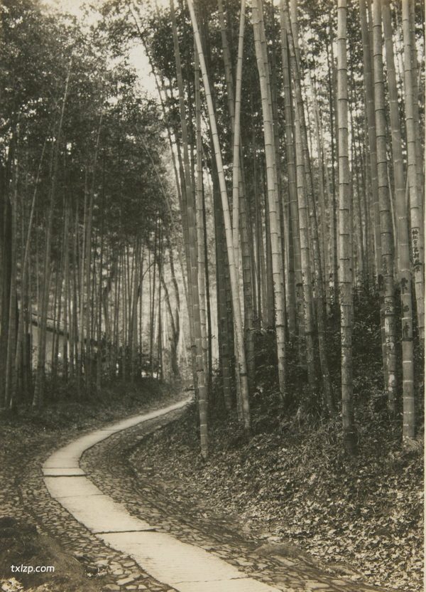 1930年杭州老照片 百年前的杭州西湖灵隐寺影像插图6