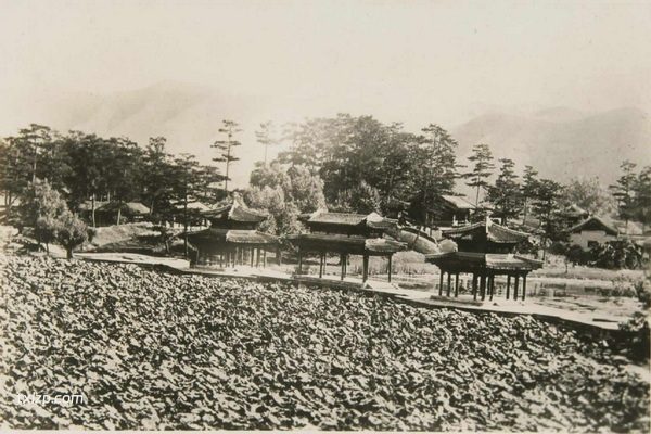 1933年承德老照片 彼时的避暑山庄内外秀美风光插图4