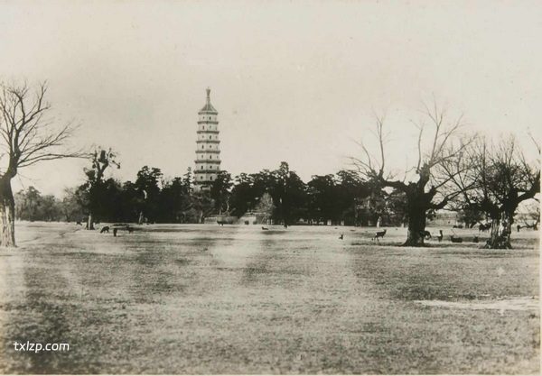 1933年承德老照片 彼时的避暑山庄内外秀美风光插图6