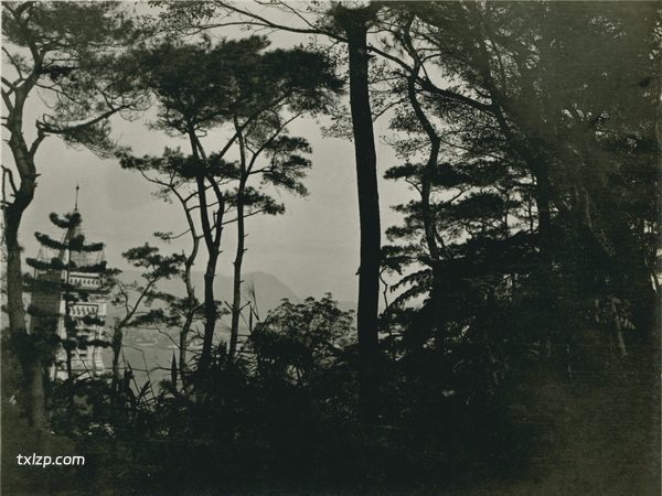 1909年张伯林的中国摄影集（4）香港插图4