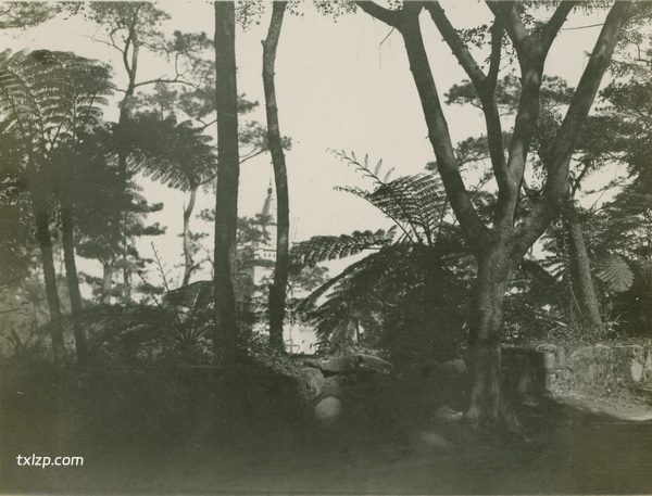 1909年张伯林的中国摄影集（4）香港插图5