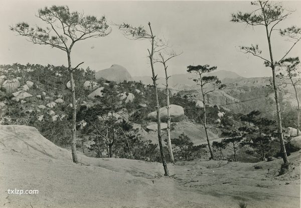 1909年张伯林的中国摄影集（4）香港插图16