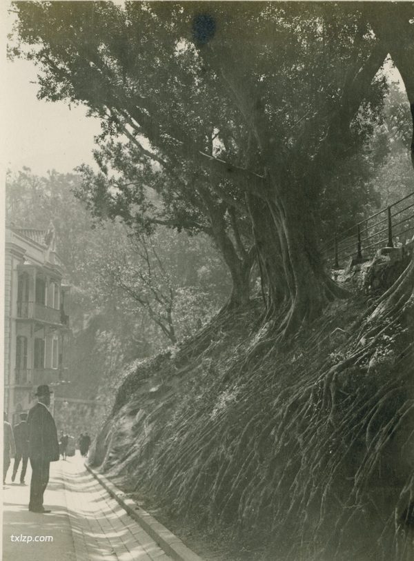 1909年张伯林的中国摄影集（4）香港插图21
