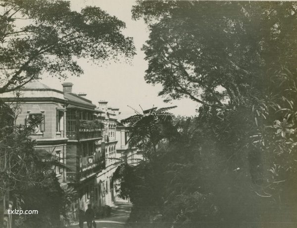1909年张伯林的中国摄影集（4）香港插图23