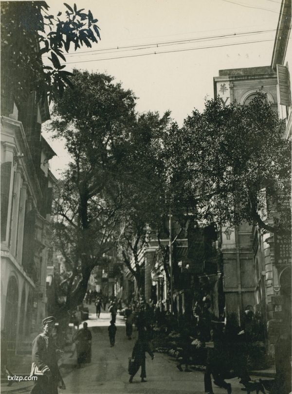 1909年张伯林的中国摄影集（4）香港插图25