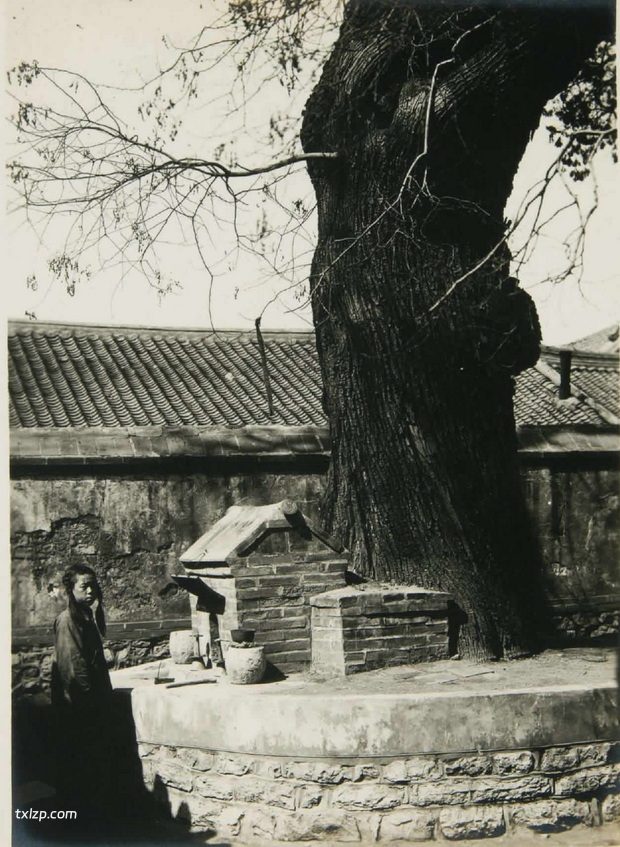 1935年金州老照片（二） 彼时的金州城内外寺庙古迹影像插图4
