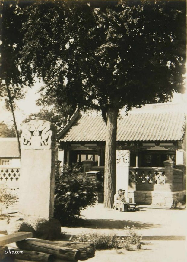 1935年金州老照片（四） 彼时的金州文庙武庙及丁祭的历史影像插图9
