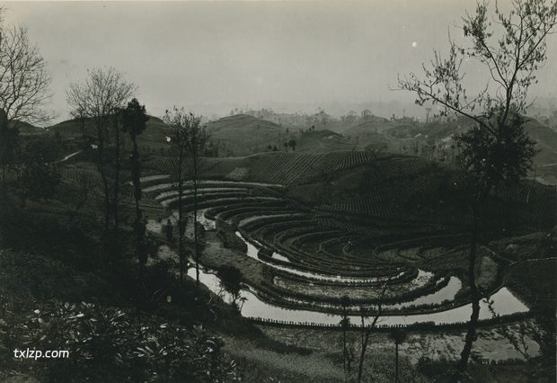 1909年张伯林的中国摄影集（15）四川大竹、渠县之旅插图3