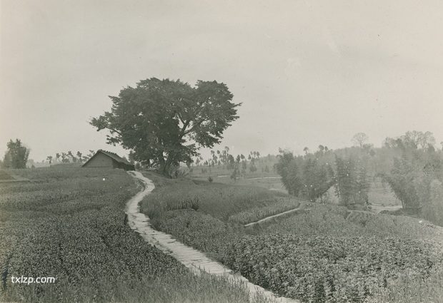 1909年张伯林的中国摄影集（15）四川大竹、渠县之旅插图5
