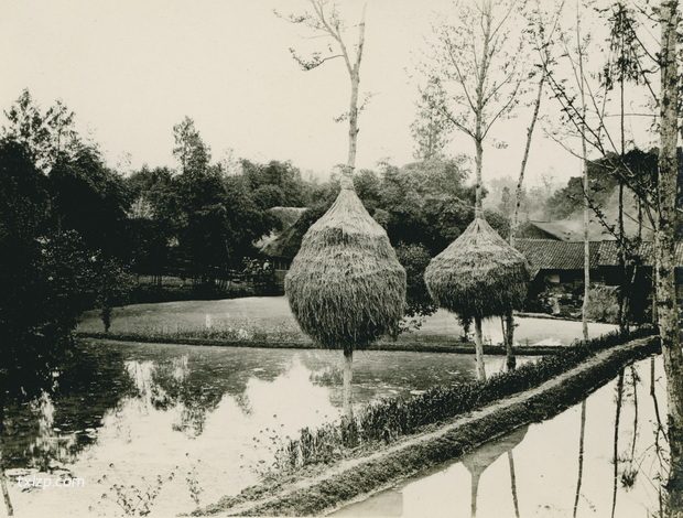 1909年张伯林的中国摄影集（16）四川南充之旅插图5