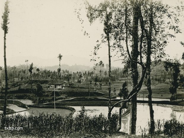 1909年张伯林的中国摄影集（16）四川南充之旅插图6